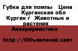 Губка для помпы › Цена ­ 120 - Курганская обл., Курган г. Животные и растения » Аквариумистика   